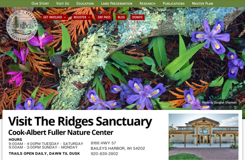 The Ridges site before engaging with Digital Pollen.