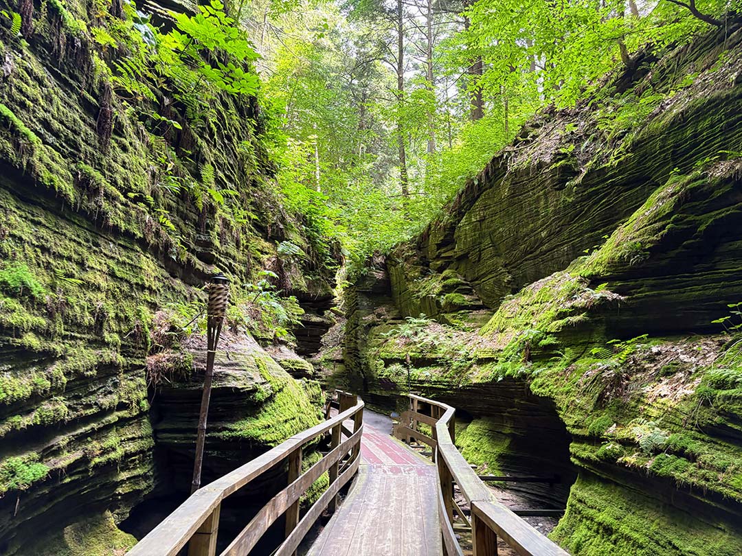 A boardwalk through the Wisconsin Dells.
